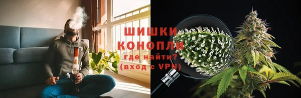 хмурый Белокуриха