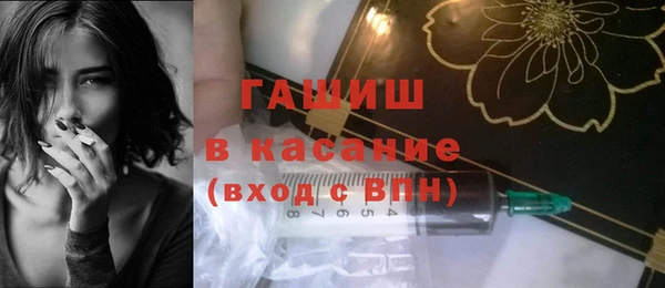 хмурый Белокуриха