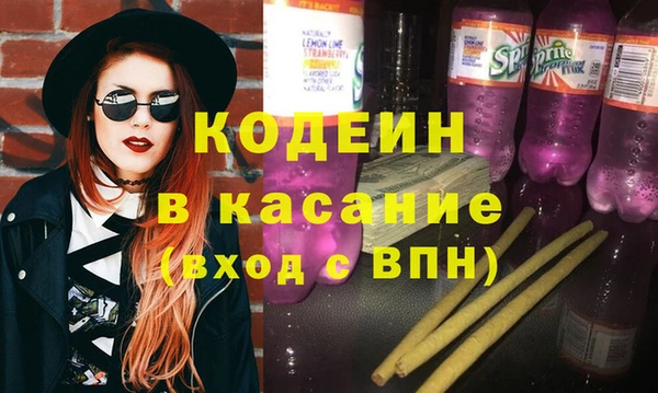 хмурый Белокуриха