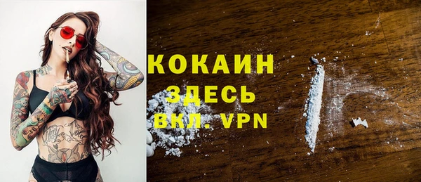 хмурый Белокуриха