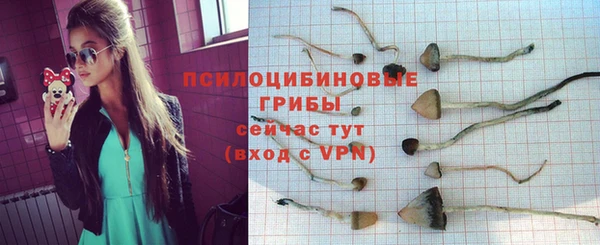 apvp Беломорск