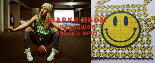 хмурый Белокуриха