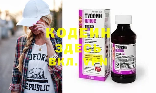 хмурый Белокуриха